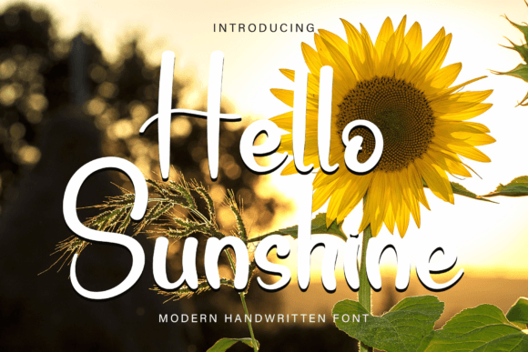 Bring a Ray of Light to Your Projects with Hello Sunshine