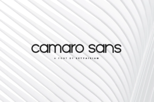 Camaro: The Sans Serif That Feels Both Classic and Friendly